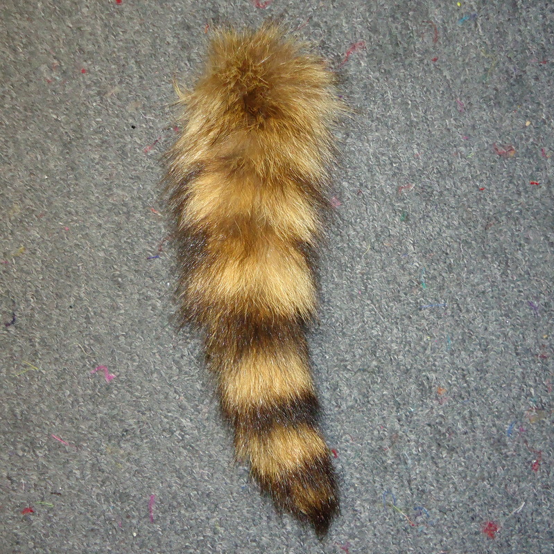 T-1 Raccoon Tail